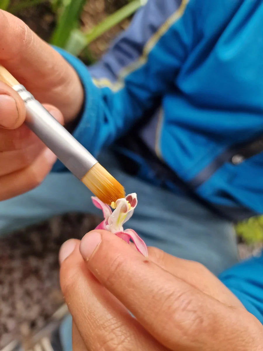 Eco Bubble Pollinator kit